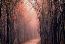 nba虎扑官网：姆巴佩忙碌，楚阿梅尼赢下15次对抗：皇马球员助法国逆转.