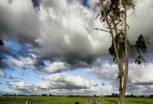 nba虎扑官网：吕迪格谈进球：居莱尔传得太好了，所以我处理起来很简单.