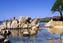 nba虎扑官网：“四字外援”丁彦雨航加盟广州男篮，携手郭艾伦九派新闻.